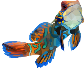DragoNet Agenzia Web