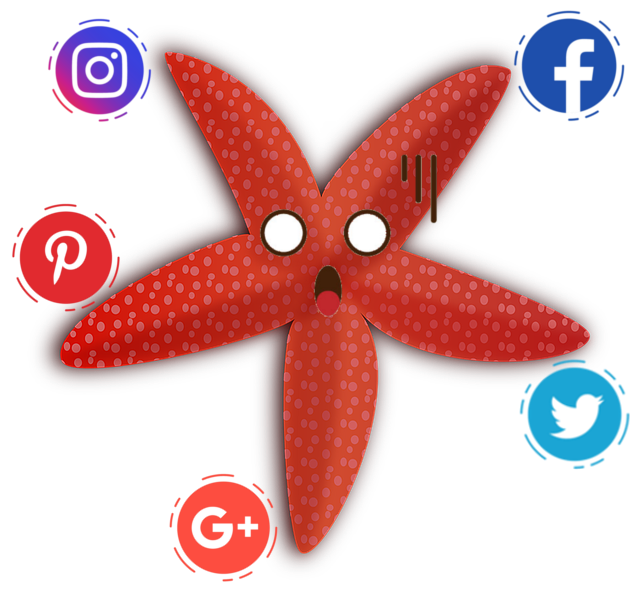 social-media
