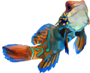 dragonet