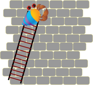 wall
